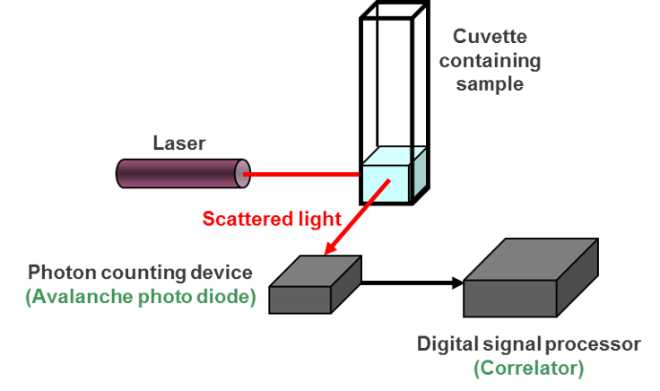 dynamic light scattering machine