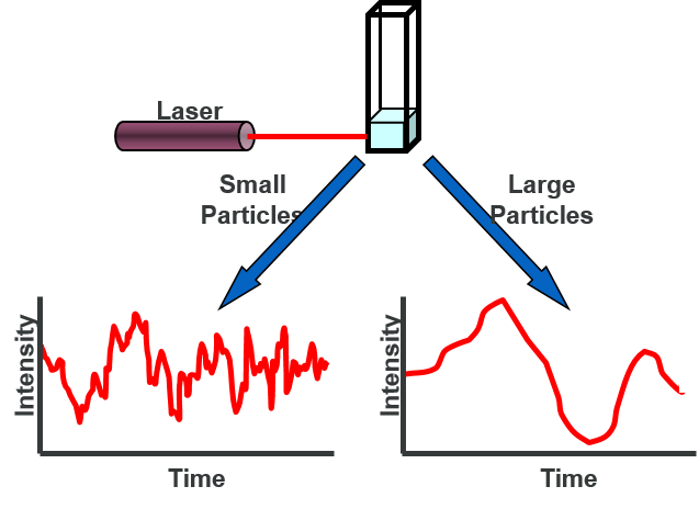 dynamic light scattering